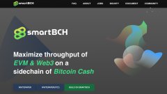 最大化TPS：SmartBCH开发人员解说了项目的