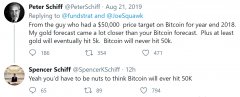 Peter Schiff供认比特币能够在BTC价格飙升曩