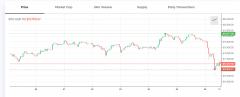 Mike Novogratz：每个人都应该在比特币上占有2％至
